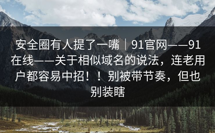 安全圈有人提了一嘴｜91官网——91在线——关于相似域名的说法，连老用户都容易中招！！别被带节奏，但也别装瞎